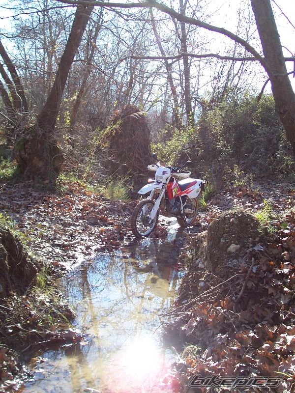 Bike Photo 787929