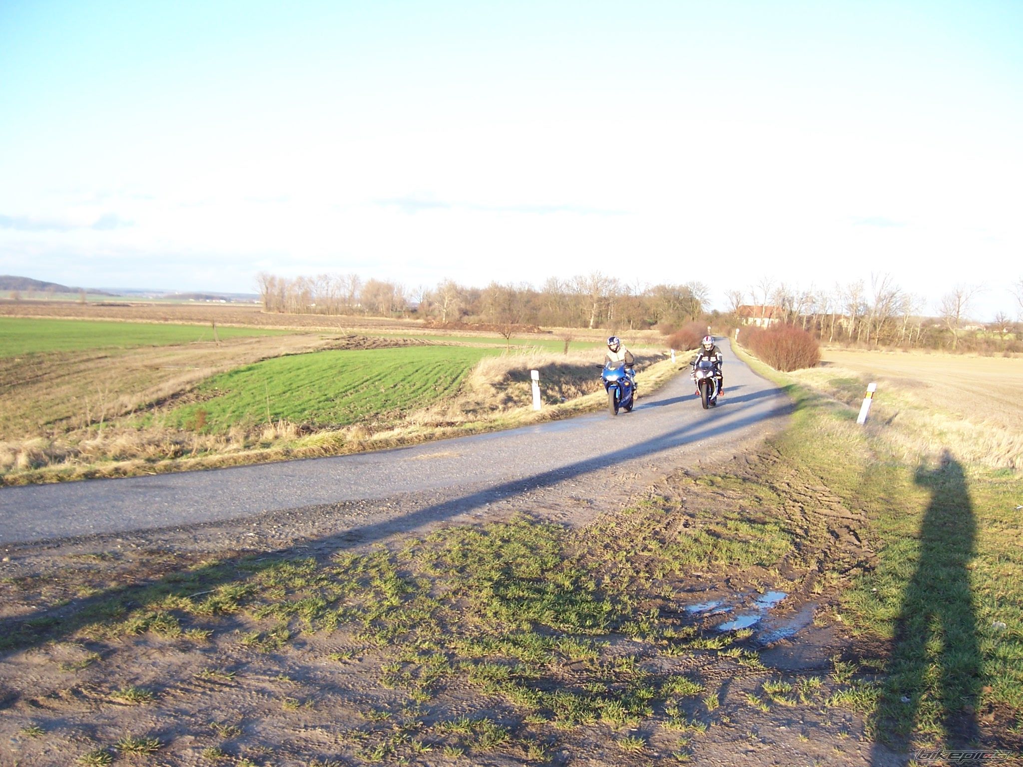Photo 787987