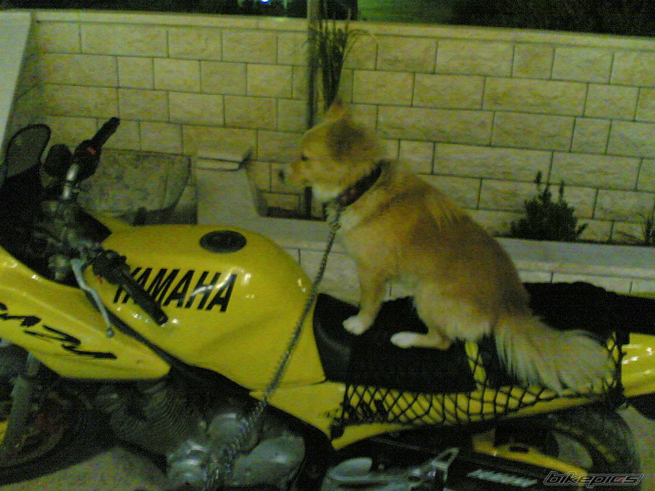 Photo 788059