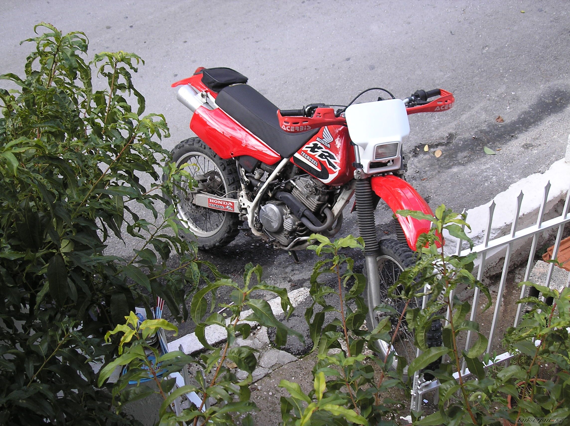 Photo 788091