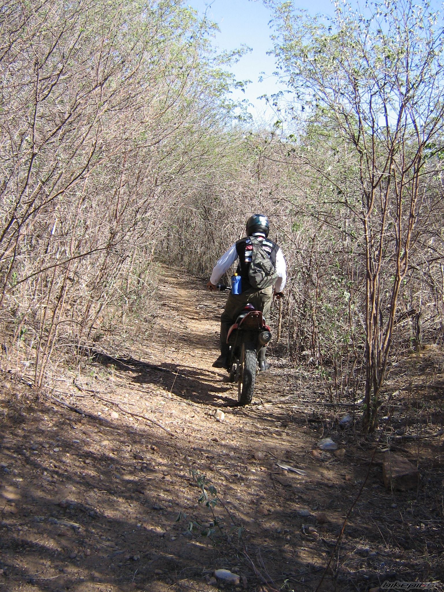 Photo 788173