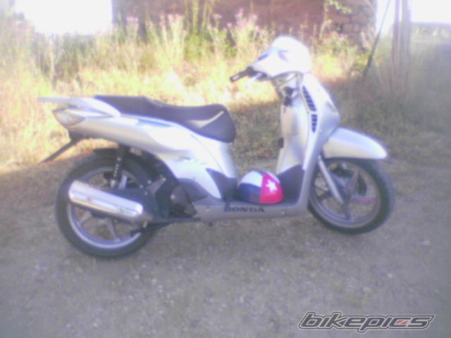 Photo 788515