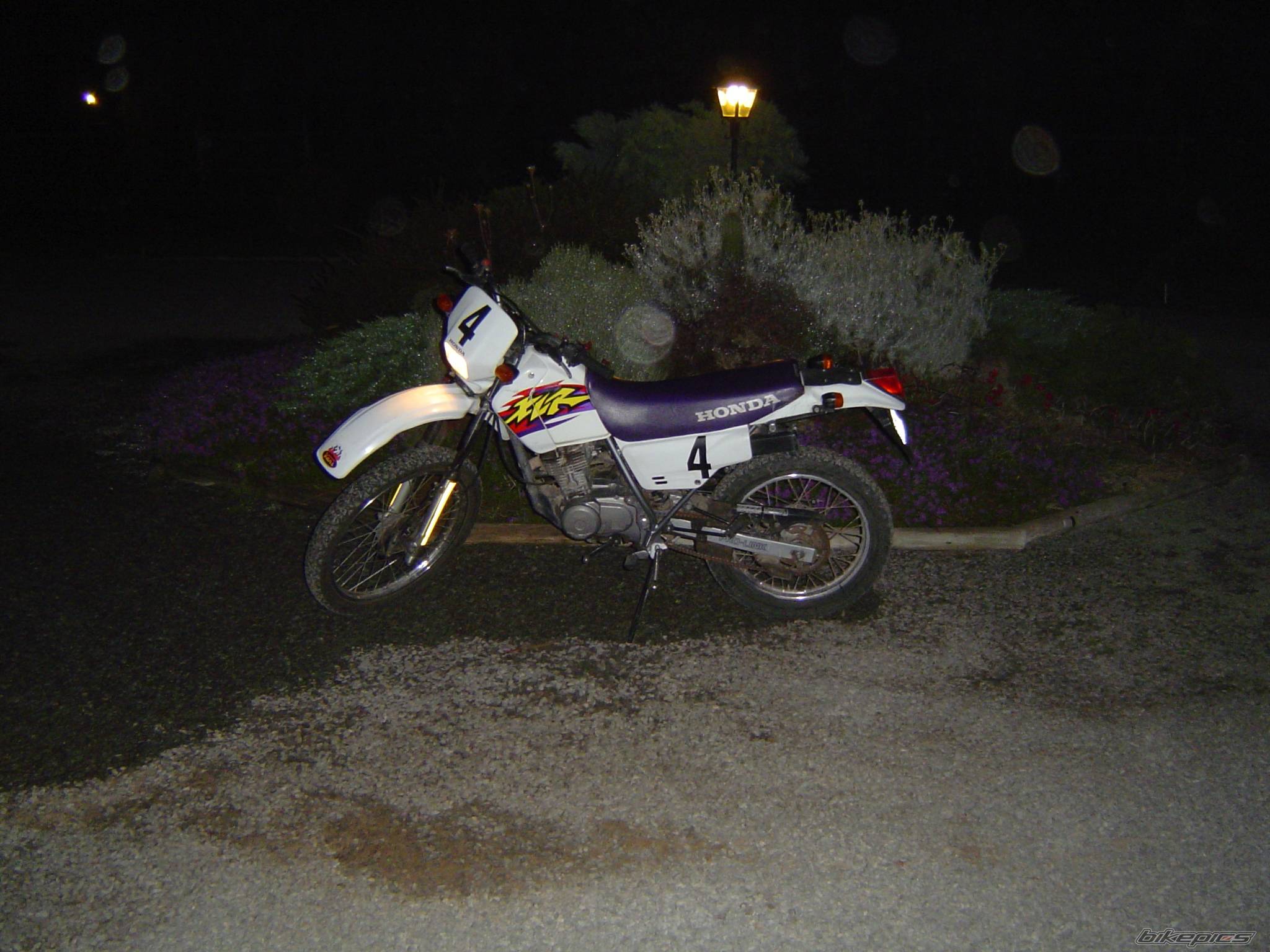 Photo 78876