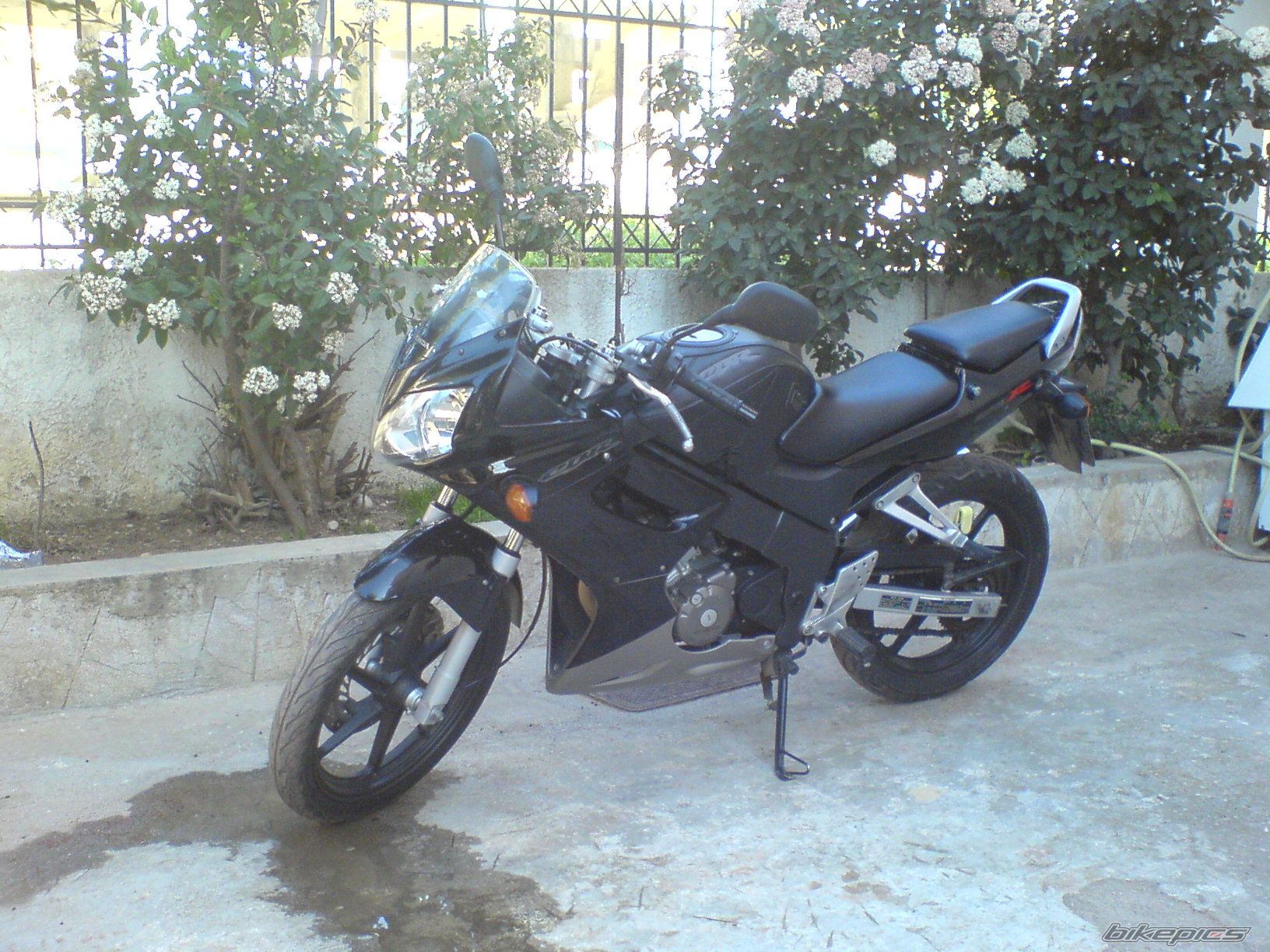 Photo 788773