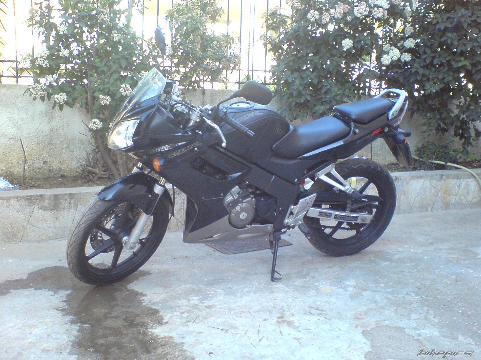 Photo 788775