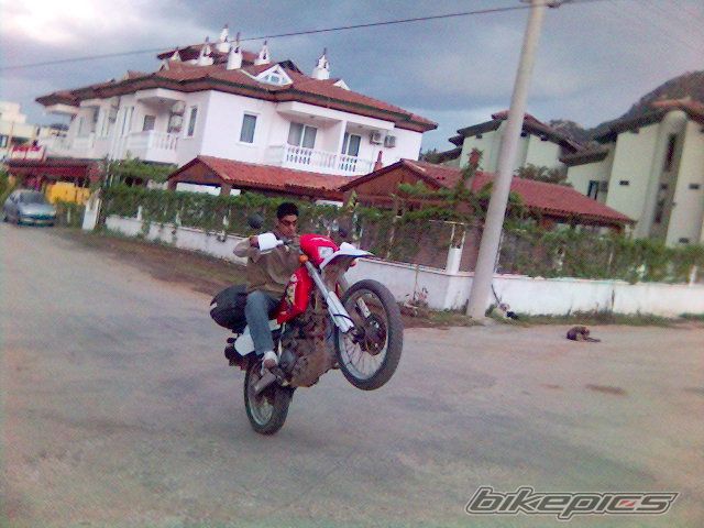 Photo 788993