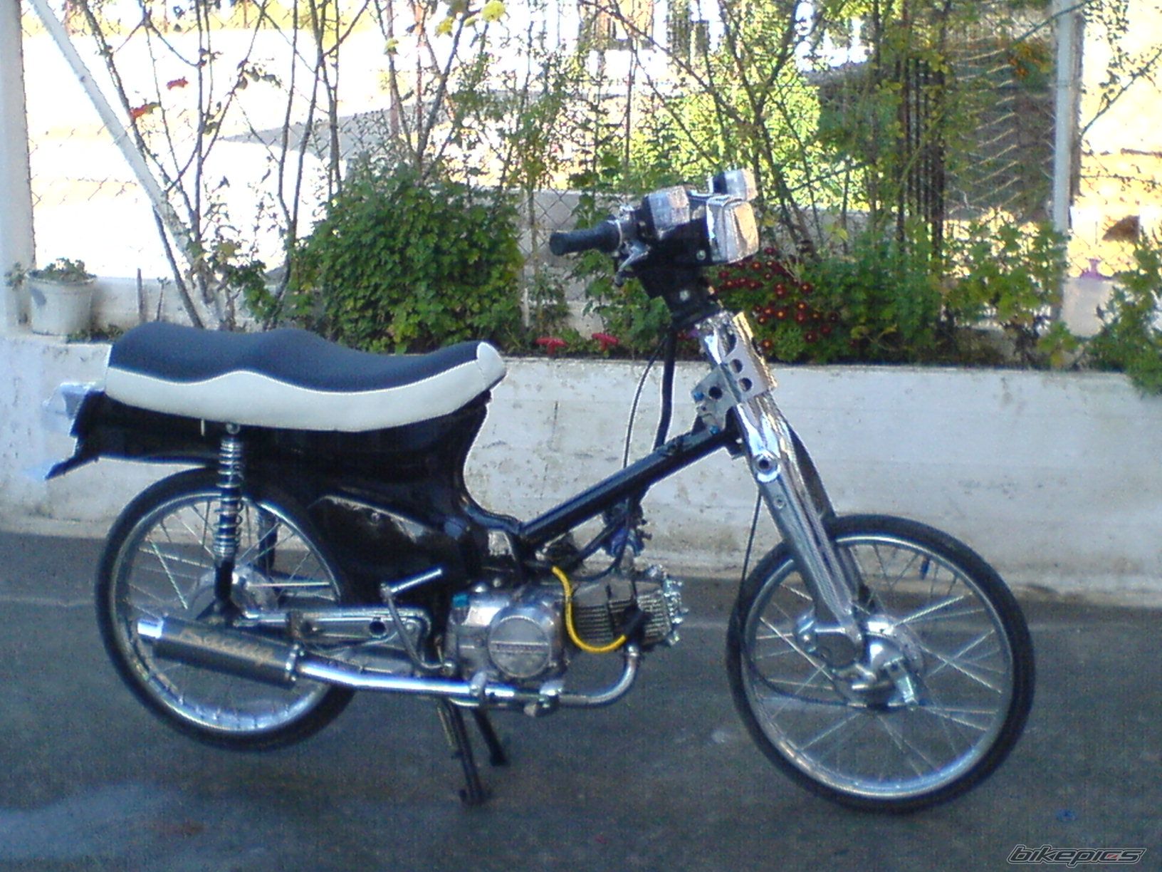 Photo 789409