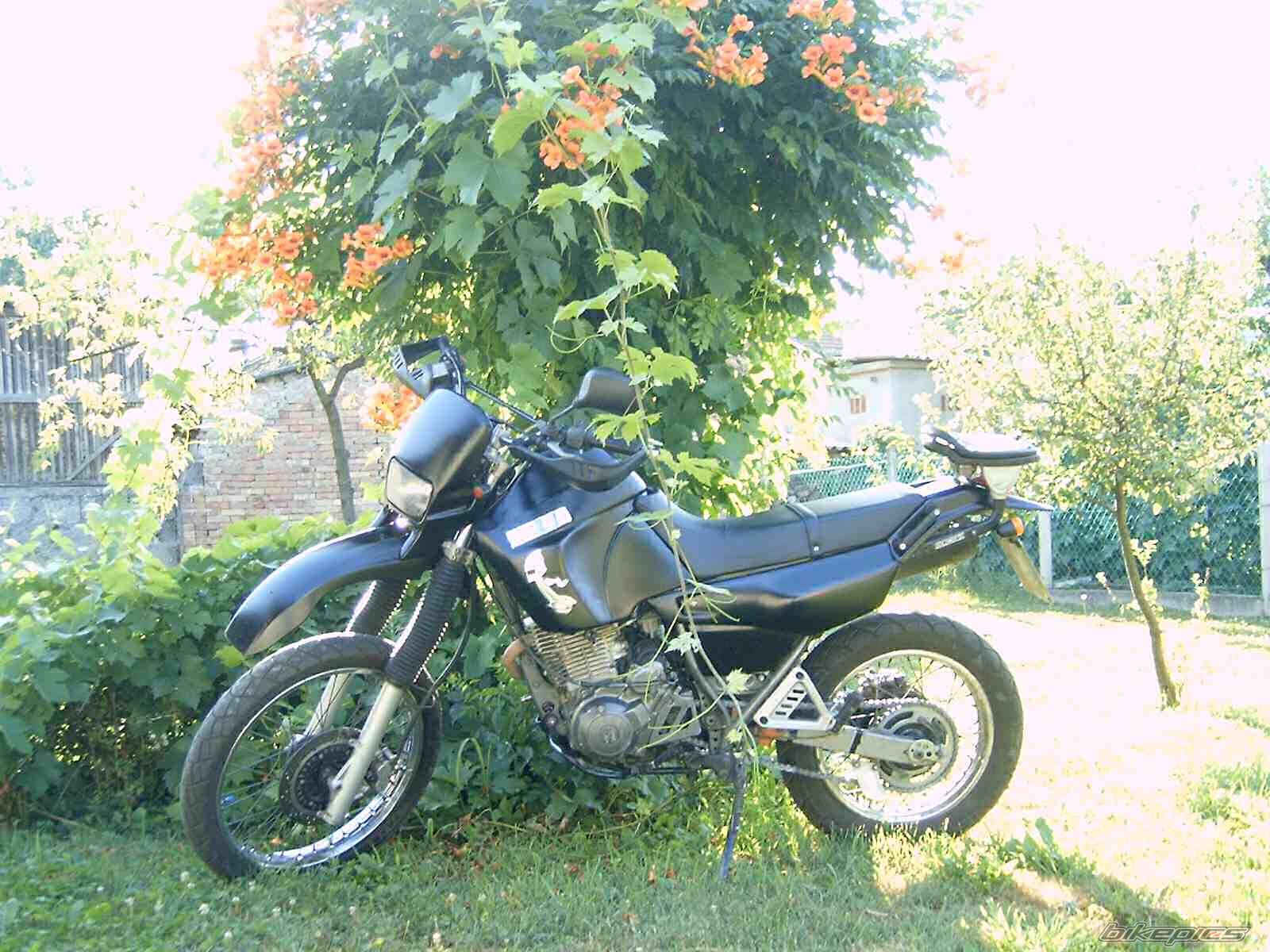 Bike Photo 789443