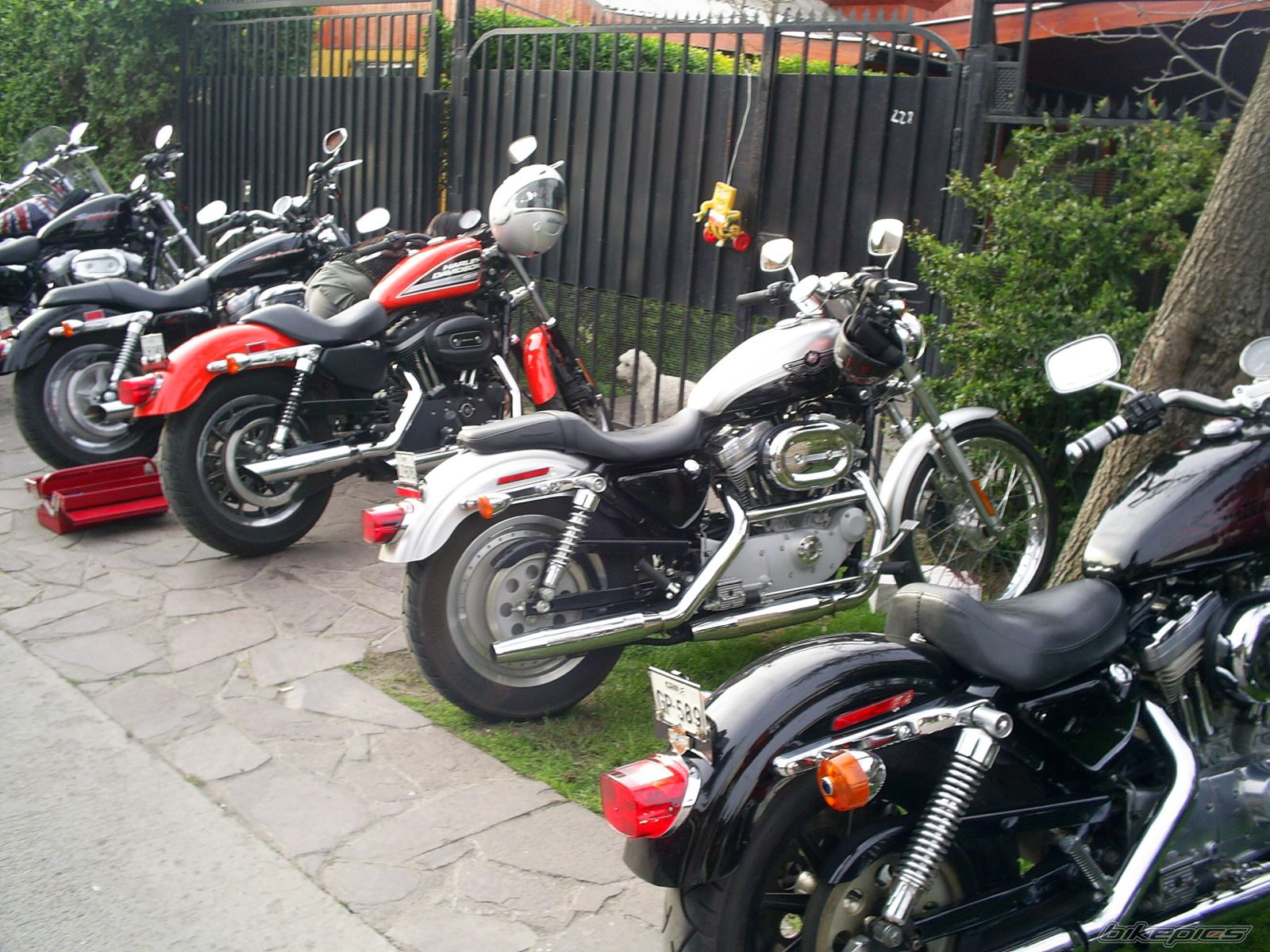 Photo 789476