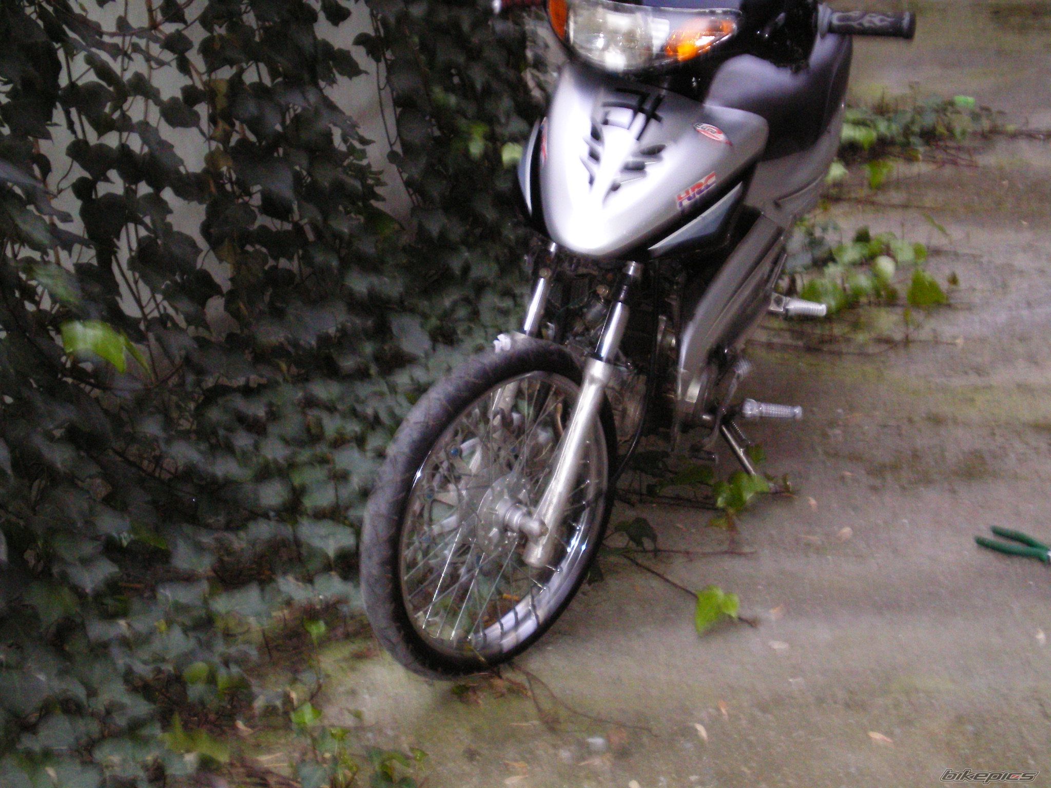 Photo 789852