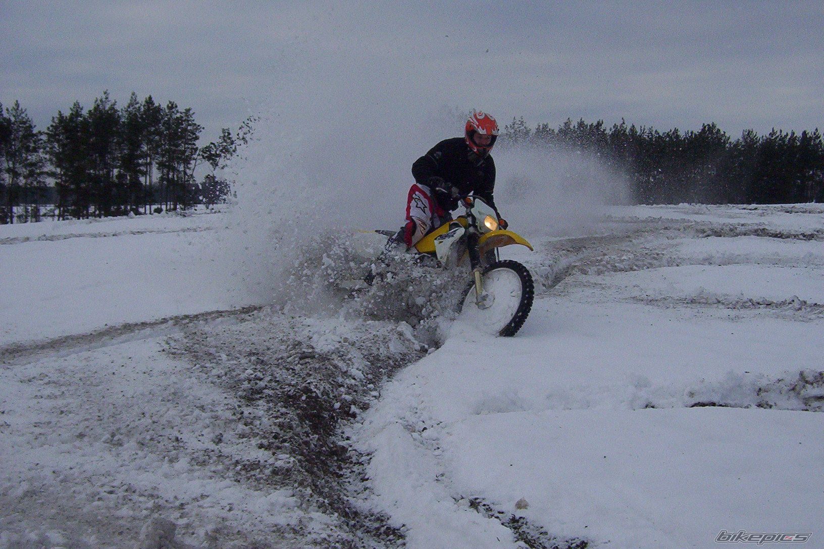 Photo 790057