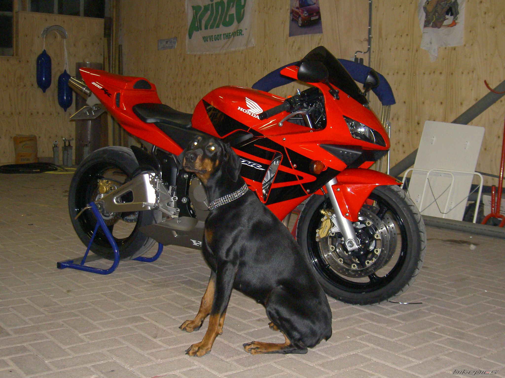 Bike Photo 790089