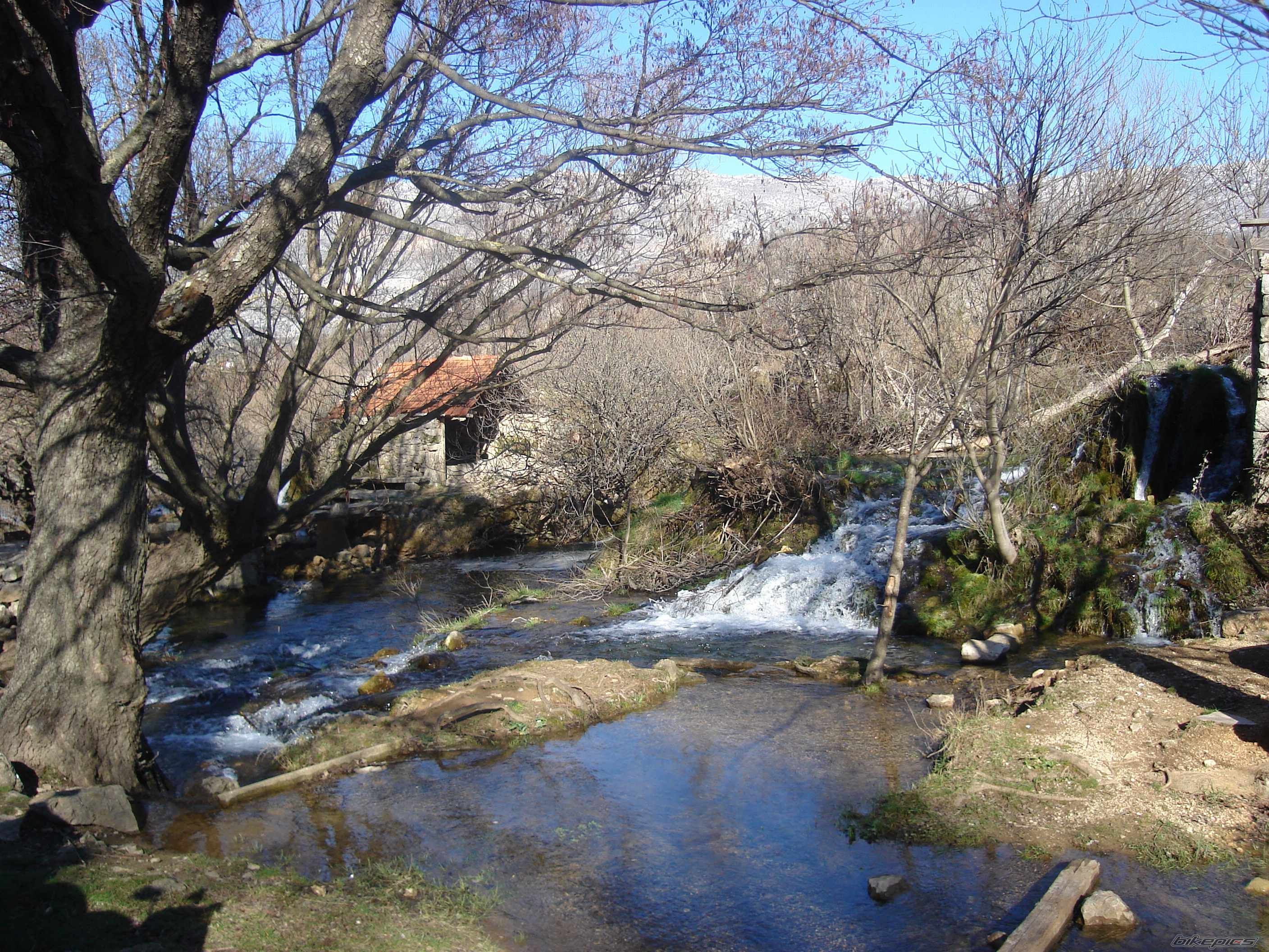 Photo 790129