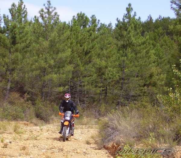 Bike Photo 790237