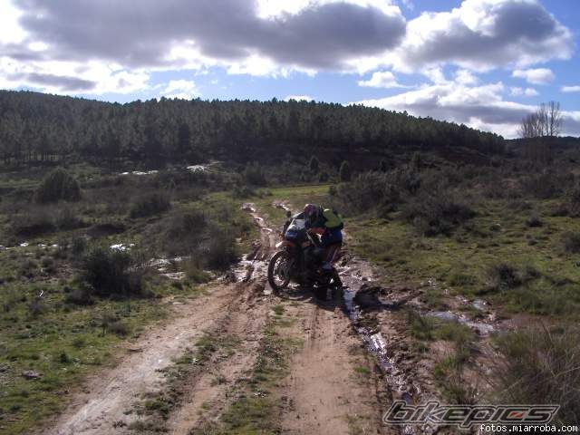 Bike Photo 790259