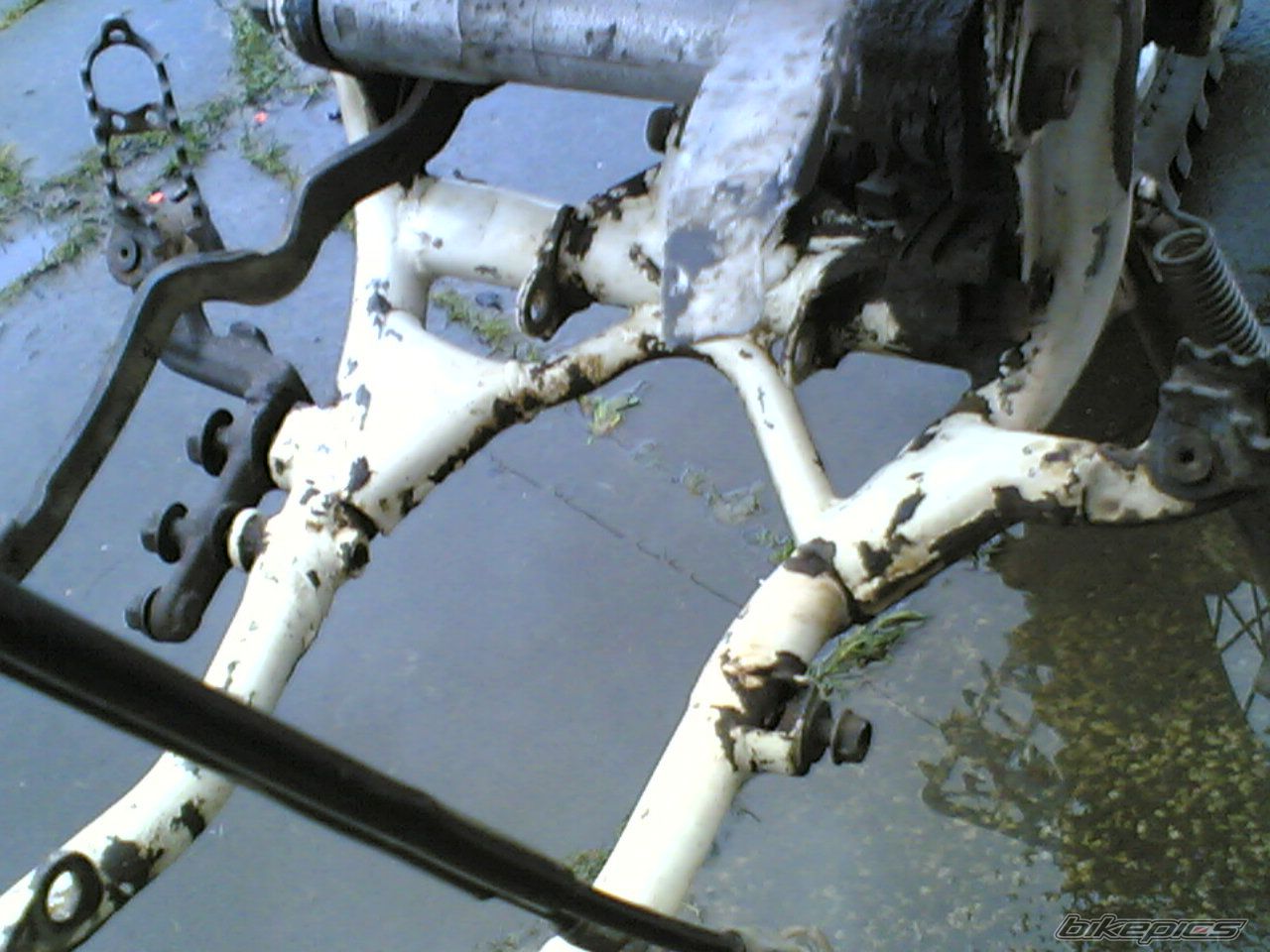 Photo 790353