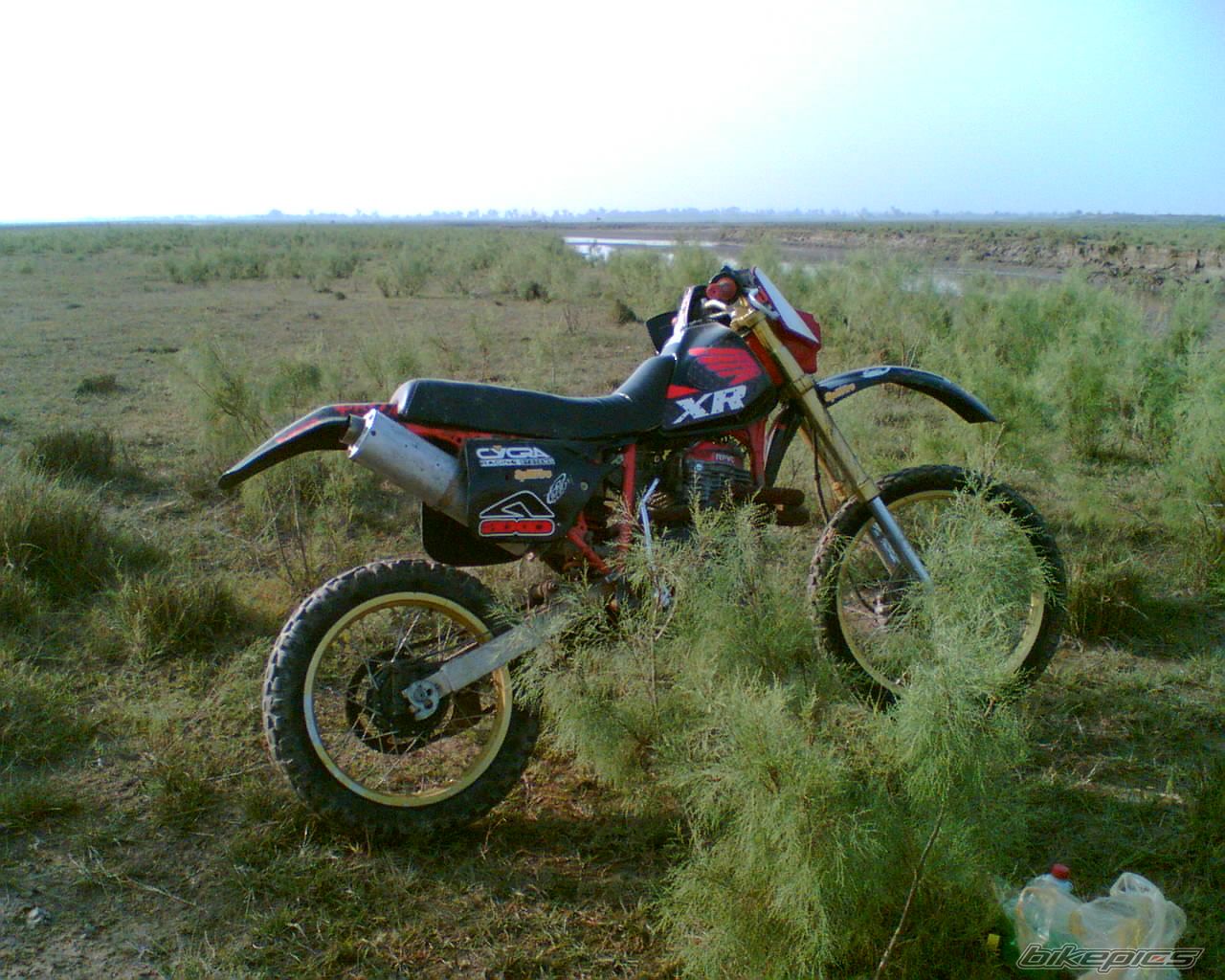 Photo 790424