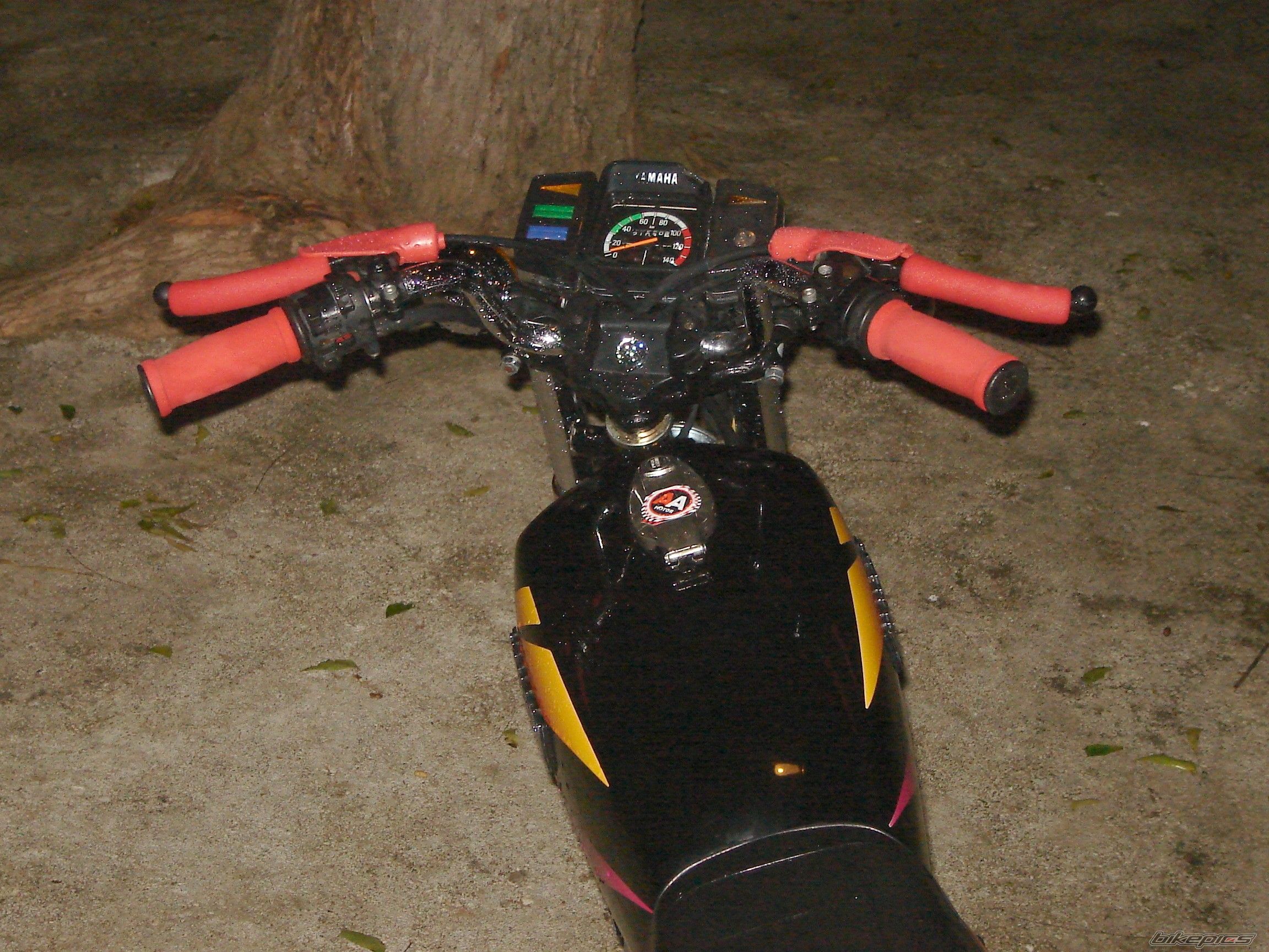 Photo 790440