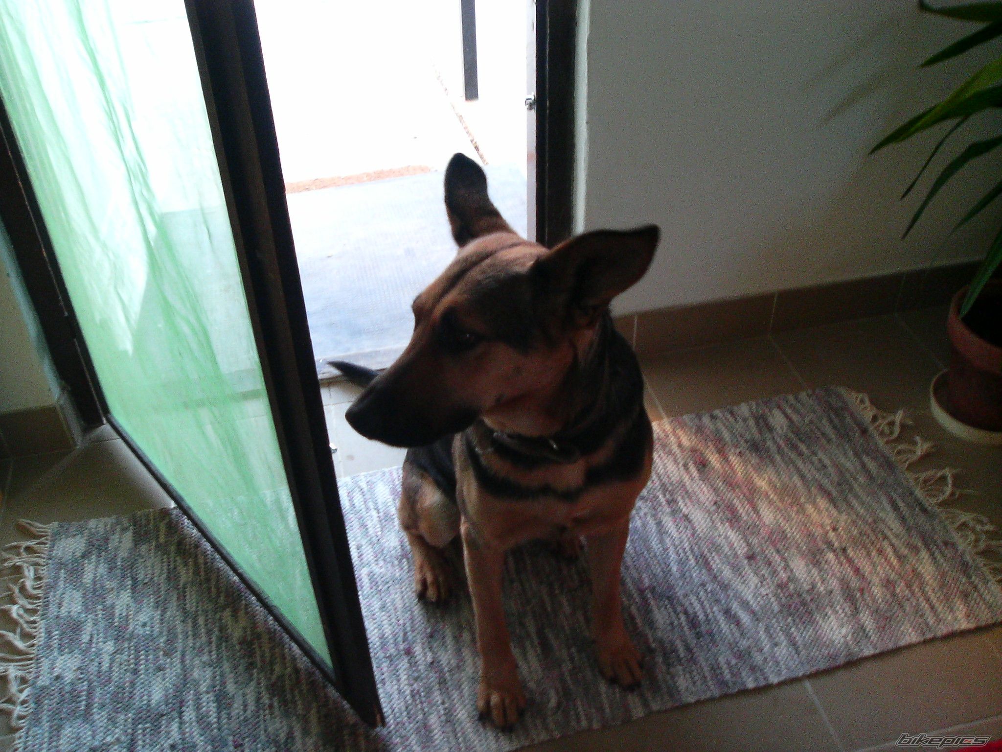 Photo 790577