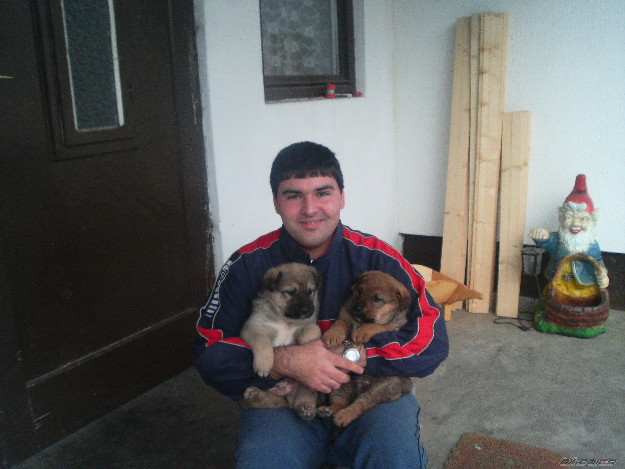 Photo 790578