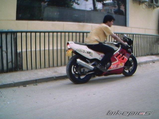 Photo 7906