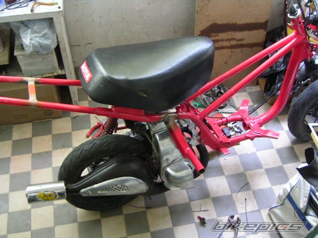 Photo 790718