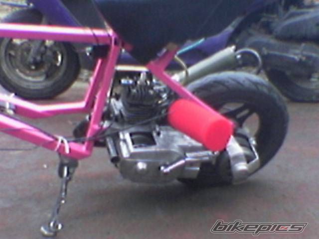 Photo 790732