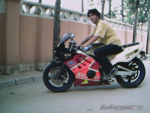Photo 7908