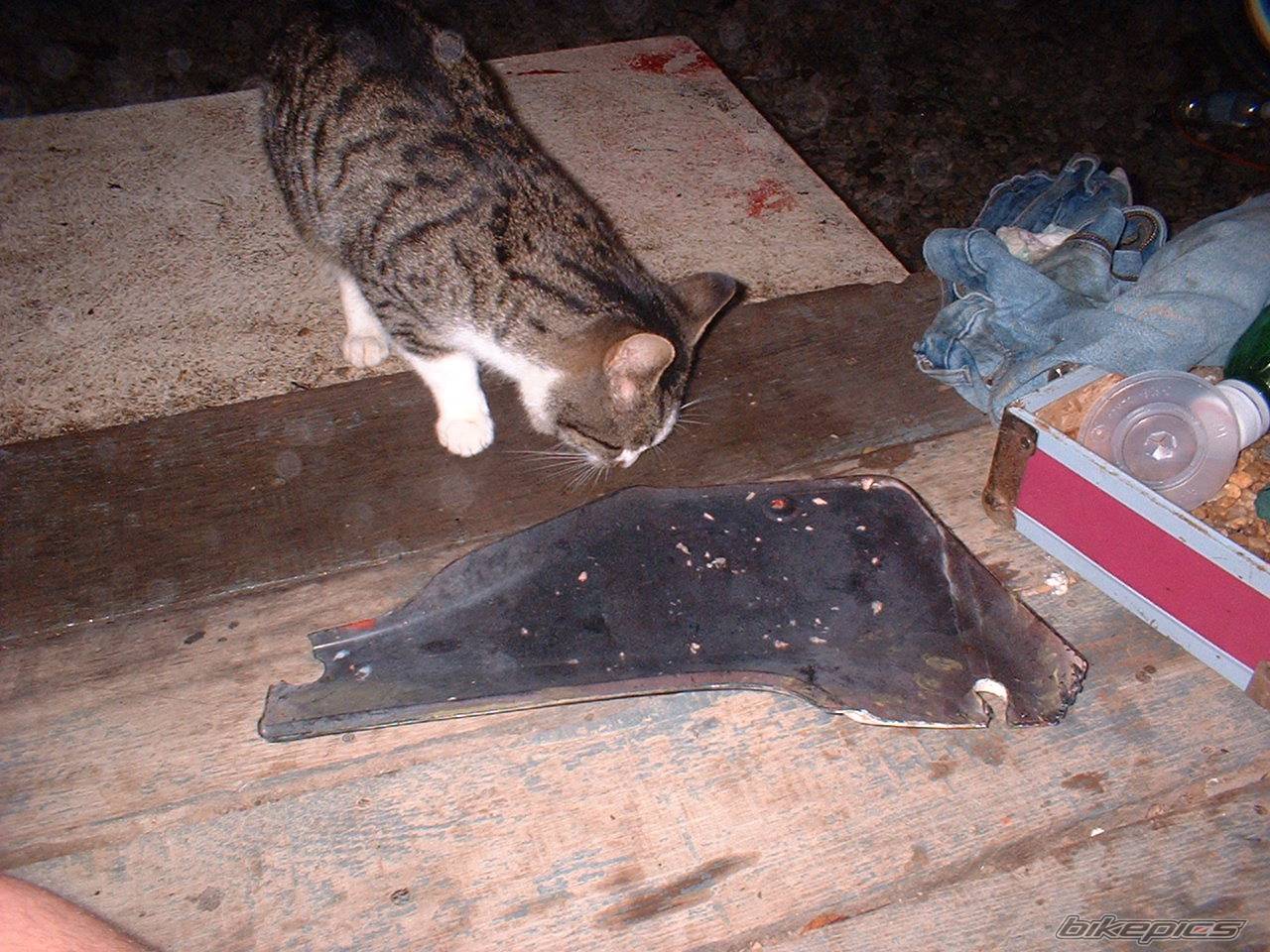 Photo 79082