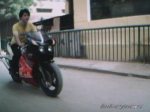 Photo 7909
