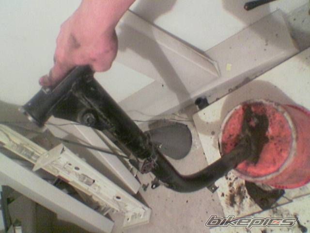 Photo 790953