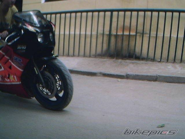 Photo 7910