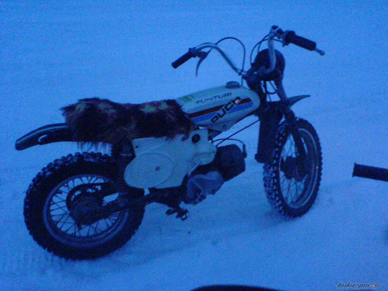 Photo 791072
