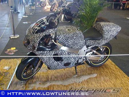 Photo 79119