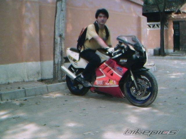 Photo 7913