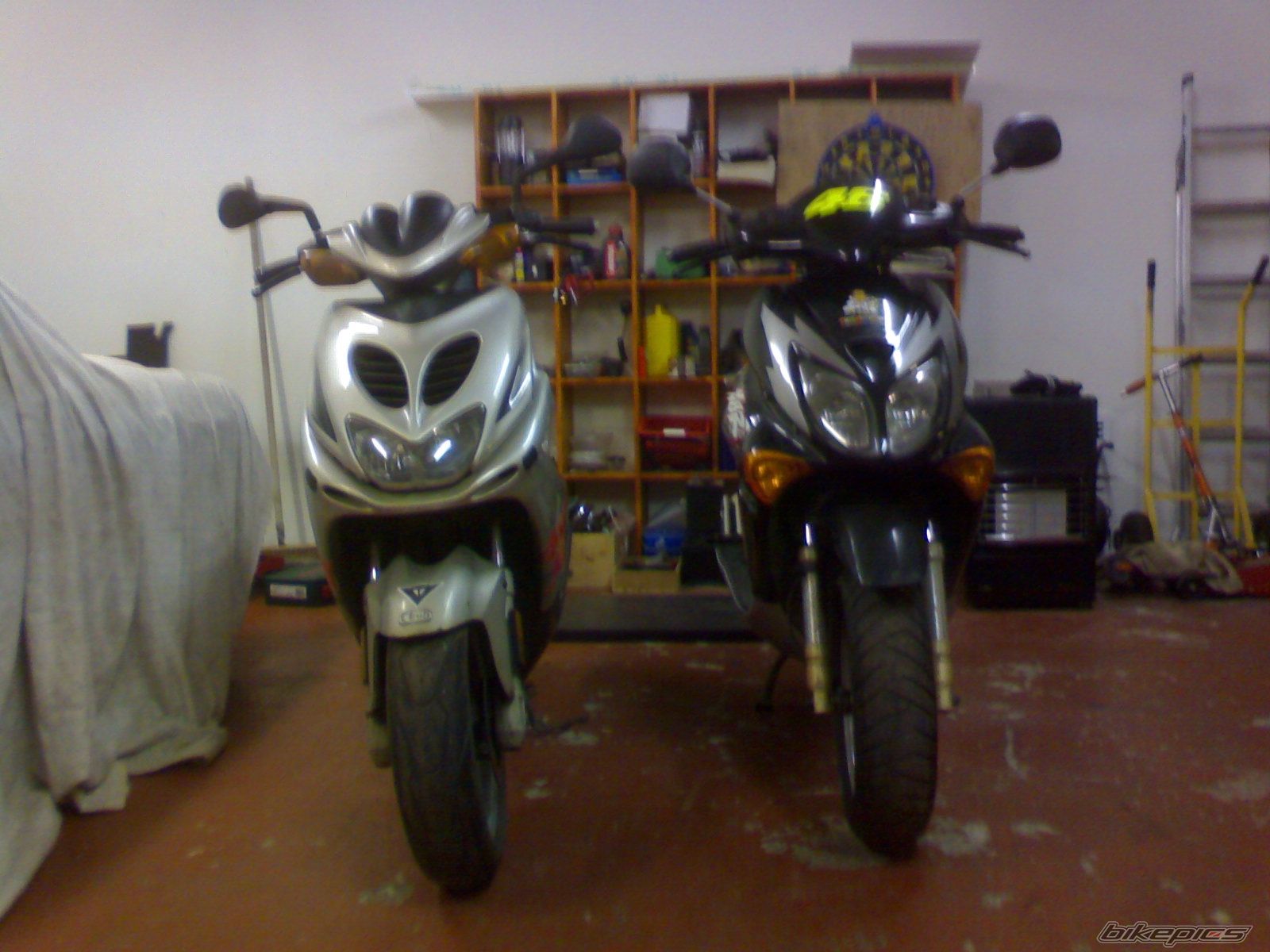 Photo 791305