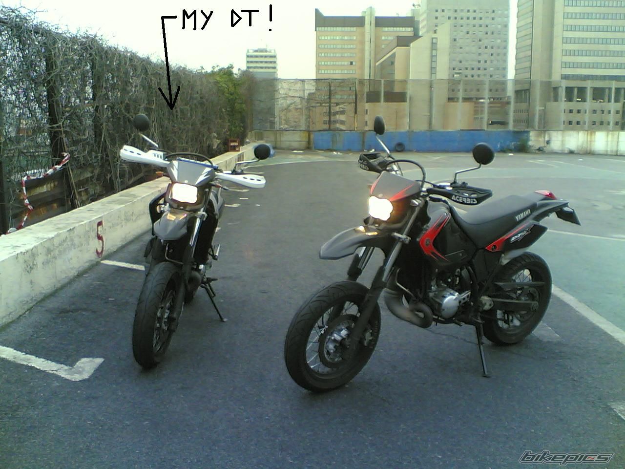 Photo 791433