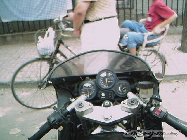 Photo 7915