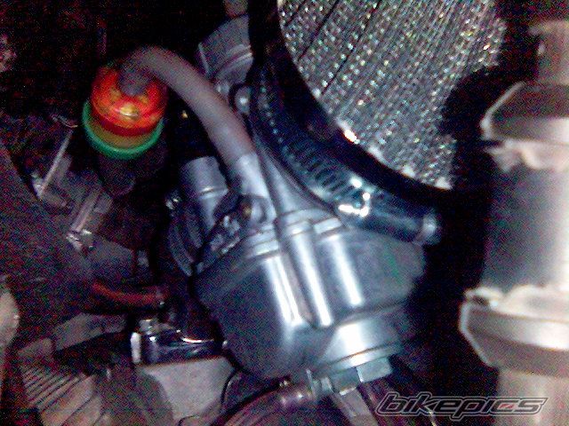 Photo 791591