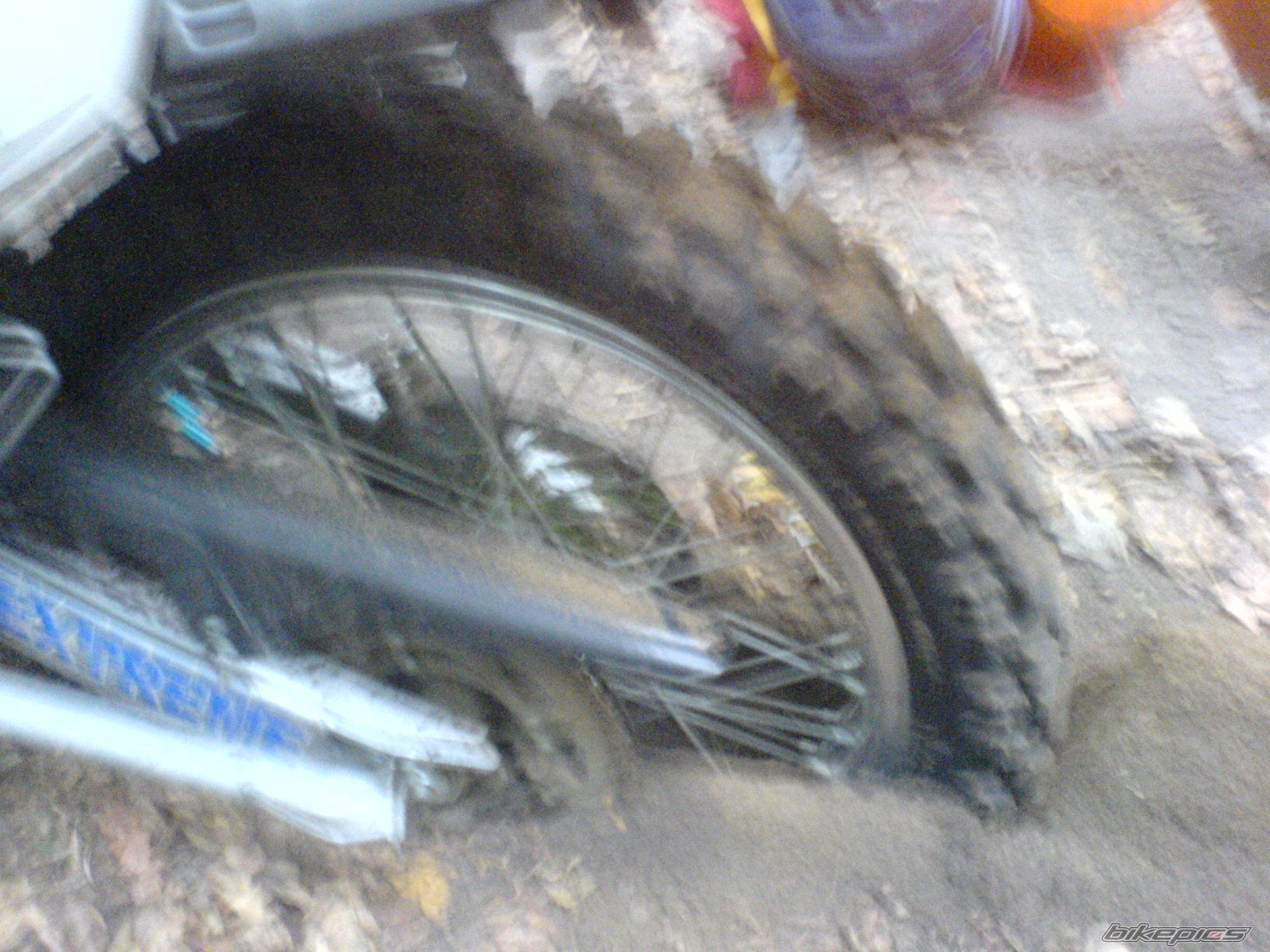Photo 791708