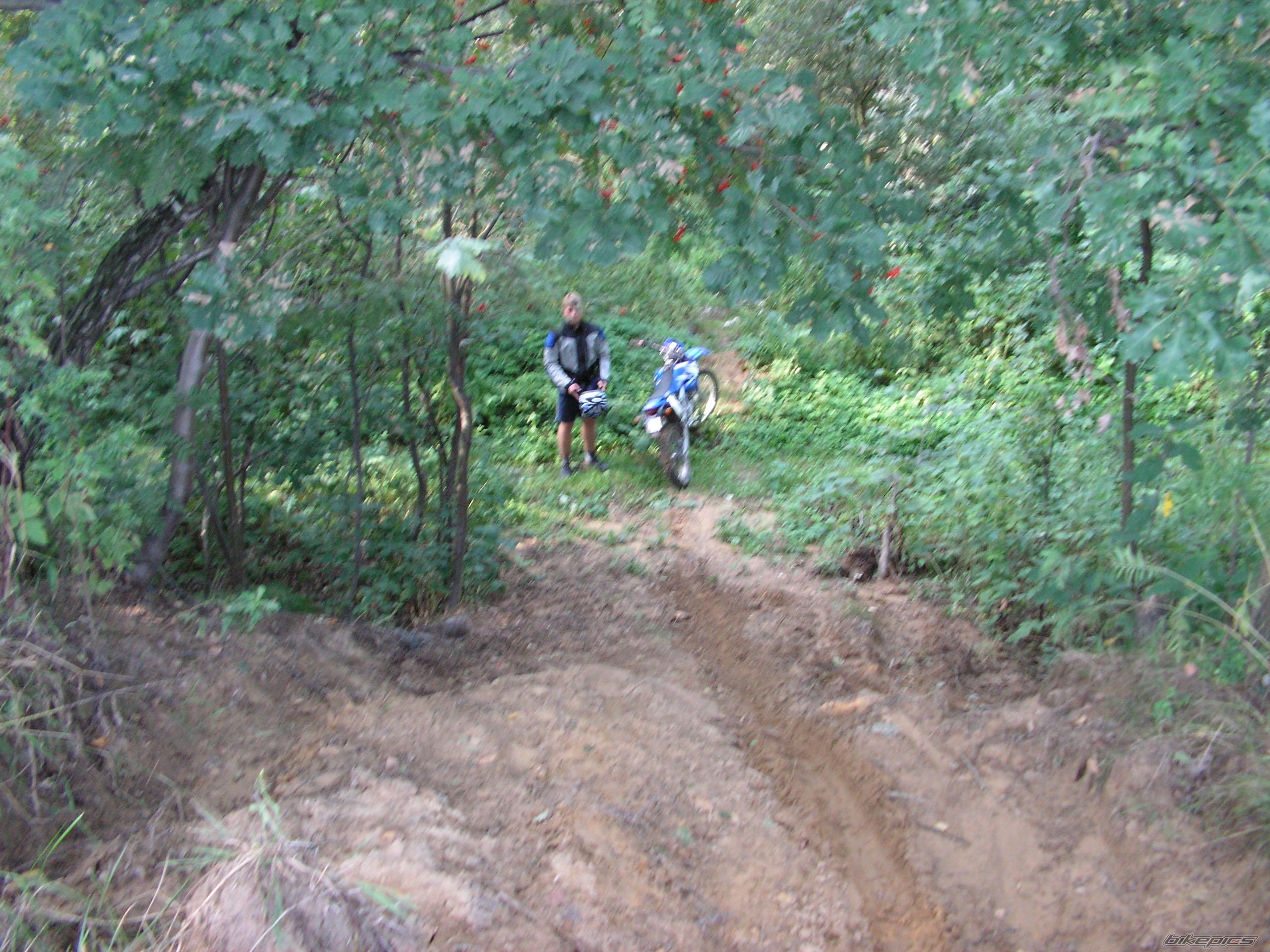 Photo 791730