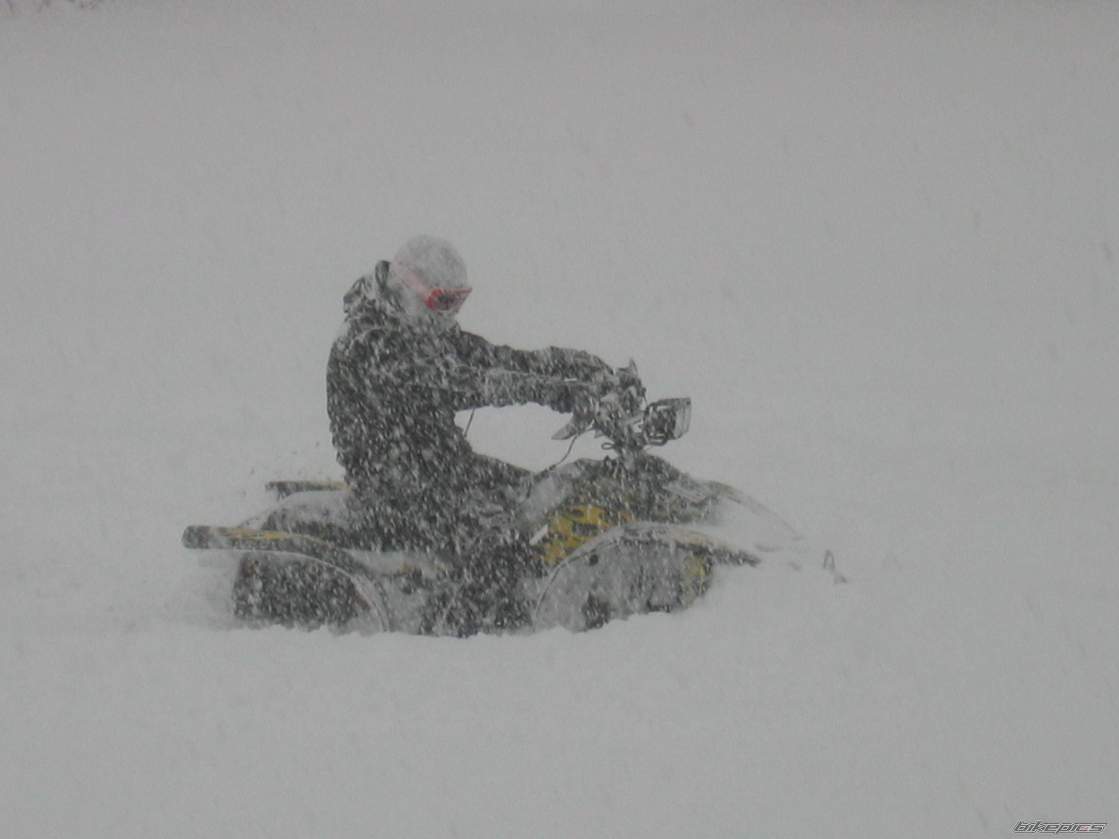 Photo 791770