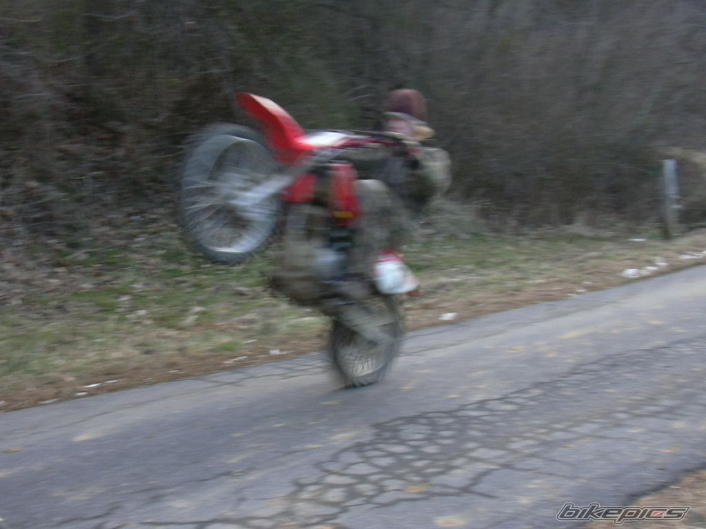 Photo 791787
