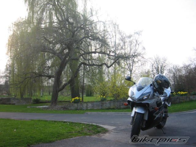 Photo 792058