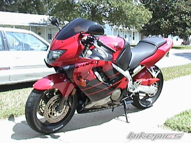 Photo 7924