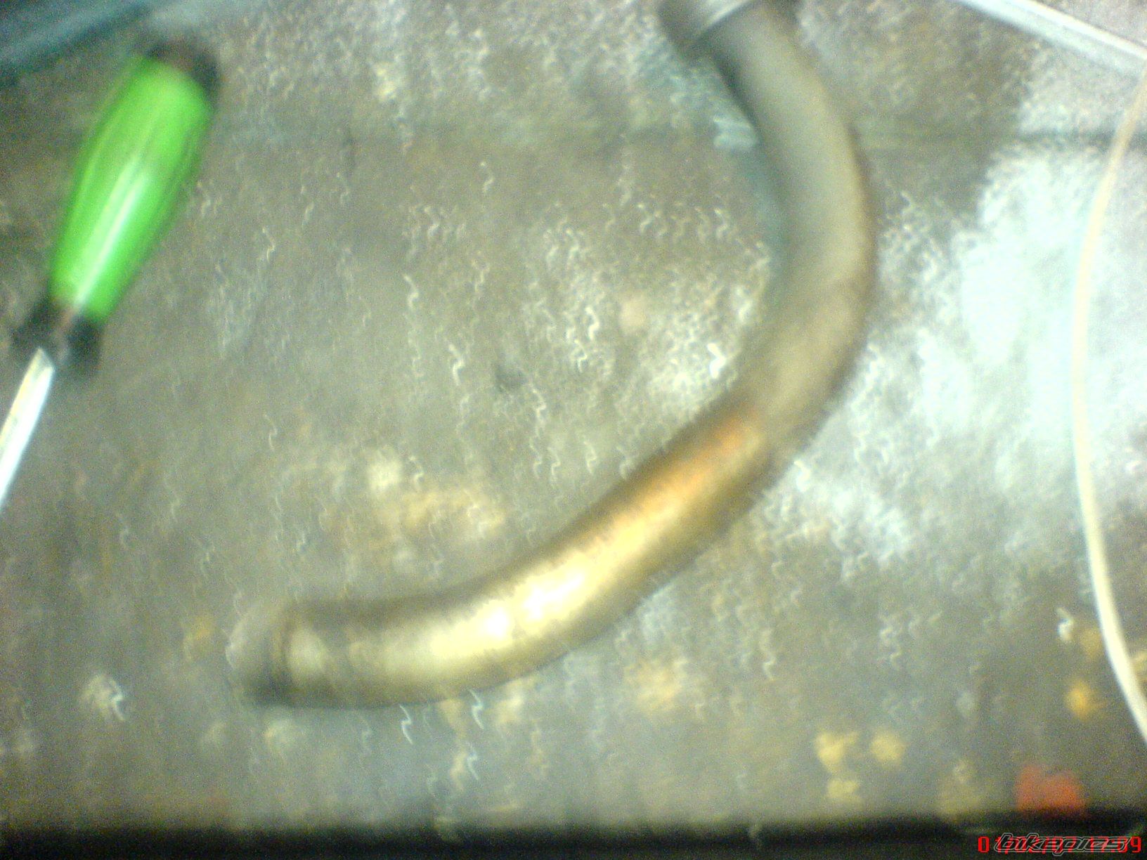 Photo 792596