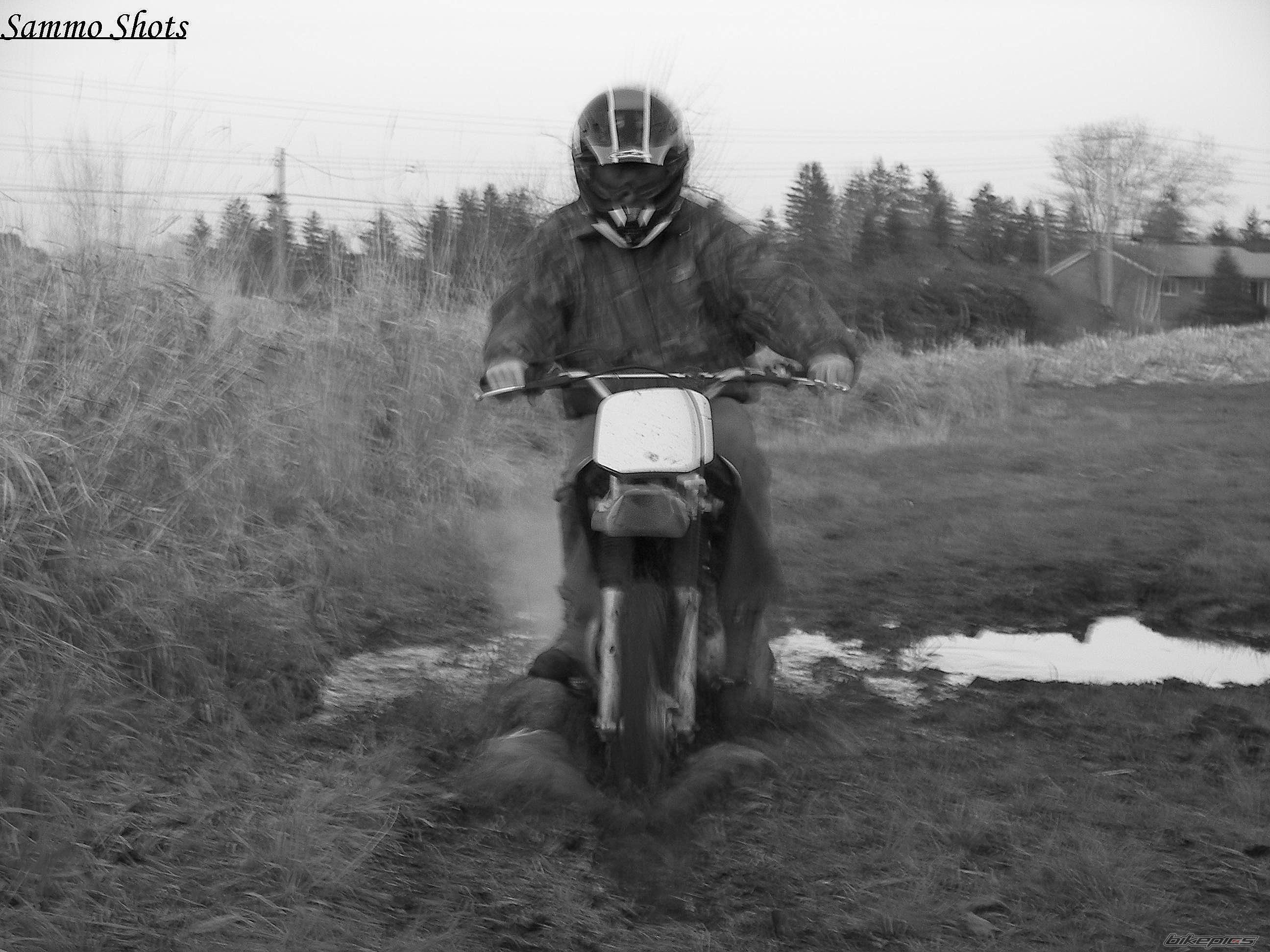 Photo 792769