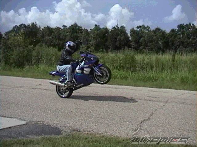 Photo 7933
