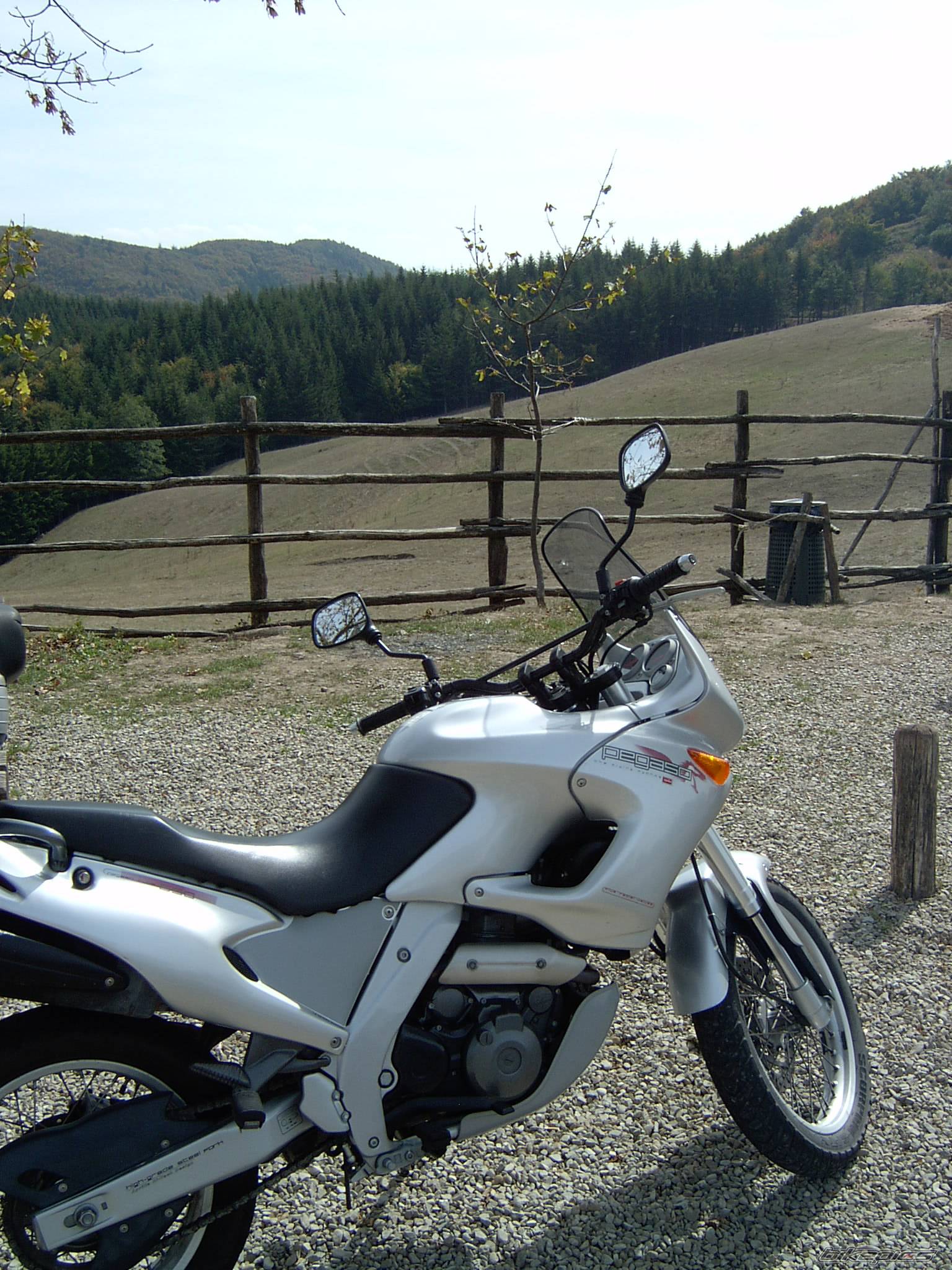 Bike Photo 79339