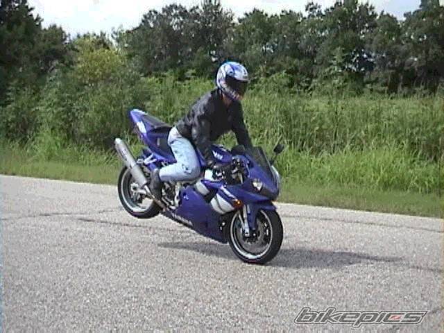 Photo 7935